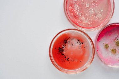 血鈣濃度檢測(cè)試劑盒圖1